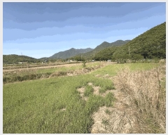  2025Ÿ��31178 �뱸 �޼��� ������ ���¸� 730-1      ����(��)���