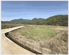  2025Ÿ��31178 �뱸 �޼��� ������ ���¸� 730-1      ����(��)���