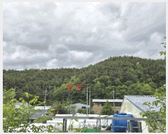  2025Ÿ��31196 ��� ���ɱ� ������ �ݿ ��28-1      ����(�Ӿ�)���