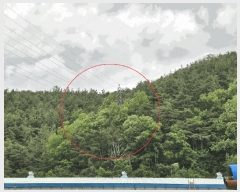  2025Ÿ��31196 ��� ���ɱ� ������ �ݿ ��28-1      ����(�Ӿ�)���