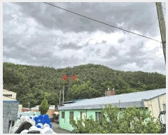  2025Ÿ��31196 ��� ���ɱ� ������ �ݿ ��28-1      ����(�Ӿ�)���