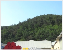  2025Ÿ��31196 ��� ���ɱ� ������ �ݿ ��28-1      ����(�Ӿ�)���