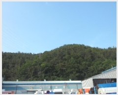  2025Ÿ��31196 ��� ���ɱ� ������ �ݿ ��28-1      ����(�Ӿ�)���