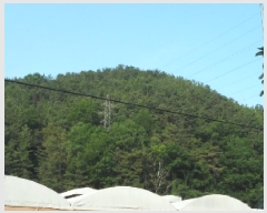  2025Ÿ��31196 ��� ���ɱ� ������ �ݿ ��28-1      ����(�Ӿ�)���