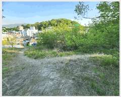  2025Ÿ��31220 �뱸 ���� �󸮵� 576-3       ����(��1)���