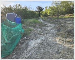  2025Ÿ��31220 �뱸 ���� �󸮵� 576-3       ����(��1)���