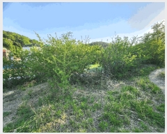  2025Ÿ��31220 �뱸 ���� �󸮵� 576-3       ����(��1)���