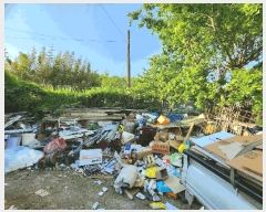  2025Ÿ��31220 �뱸 ���� �󸮵� 576-3       ����(��1)���