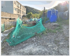  2025Ÿ��31220 �뱸 ���� �󸮵� 576-3       ����(��1)���