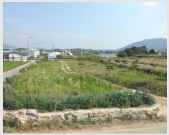  2025Ÿ��31323 ��� ���ɱ� ������ ���� 17-1      ����(��)���