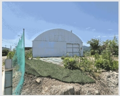  2025Ÿ��31323 ��� ���ɱ� ������ ���� 17-1      ����(��)���