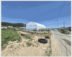  2025Ÿ��31323 ��� ���ɱ� ������ ���� 17-1      ����(��)���