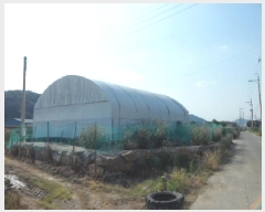  2025Ÿ��31323 ��� ���ɱ� ������ ���� 17-1      ����(��)���