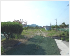  2025Ÿ��31323 ��� ���ɱ� ������ ���� 17-1      ����(��)���