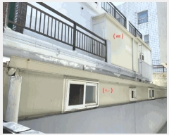  2025Ÿ��31371 �뱸 ���� �򸮵� 1086-21       ���ð��