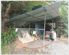  2025Ÿ��31378  ���ð��