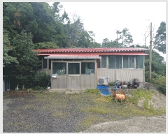  2025Ÿ��31378  ���ð��