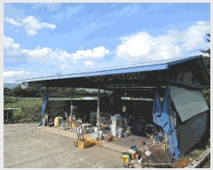  2025Ÿ��31419  â�����