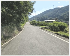  2025Ÿ��31419  â�����