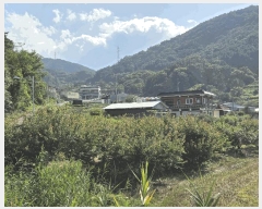  2025Ÿ��31419  â�����