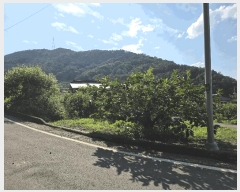  2025Ÿ��31419  â�����