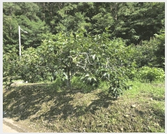  2025Ÿ��31419  â�����