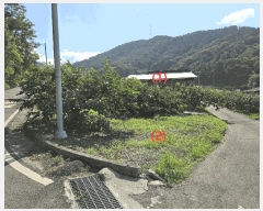  2025Ÿ��31419  â�����