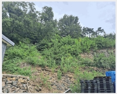  2025Ÿ��31461 �뱸 �޼��� ������ ��ܸ� 692-3      ����(�Ӿ�)���