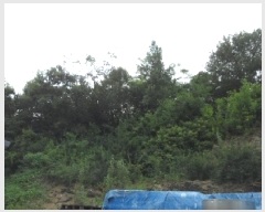  2025Ÿ��31461 �뱸 �޼��� ������ ��ܸ� 692-3      ����(�Ӿ�)���