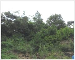  2025Ÿ��31461 �뱸 �޼��� ������ ��ܸ� 692-3      ����(�Ӿ�)���