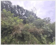  2025Ÿ��31479  �������