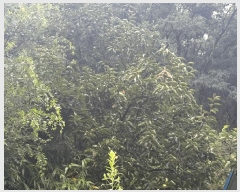  2025Ÿ��31479  �������