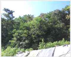  2025Ÿ��31479  �������