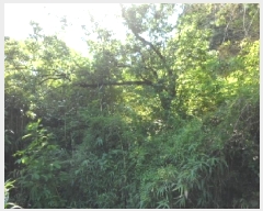  2025Ÿ��31479  �������