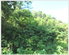  2025Ÿ��31479  �������