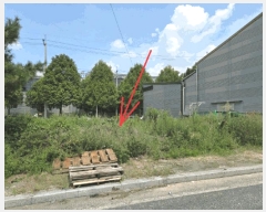  2025Ÿ��31659 �뱸 �޼��� ������ ������ 766-1      ����(����)���