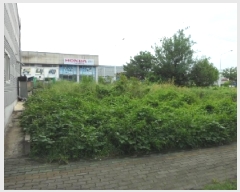  2025Ÿ��31659 �뱸 �޼��� ������ ������ 766-1      ����(����)���