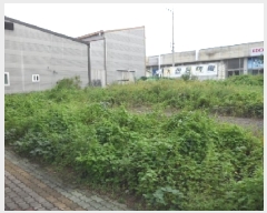  2025Ÿ��31659 �뱸 �޼��� ������ ������ 766-1      ����(����)���