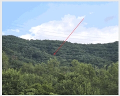  2025Ÿ��31701 �뱸 �޼��� ������ ������ ��200      ����(�Ӿ�)���