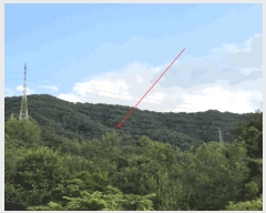  2025Ÿ��31701 �뱸 �޼��� ������ ������ ��200      ����(�Ӿ�)���