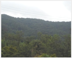  2025Ÿ��31701 �뱸 �޼��� ������ ������ ��200      ����(�Ӿ�)���