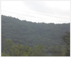  2025Ÿ��31701 �뱸 �޼��� ������ ������ ��200      ����(�Ӿ�)���