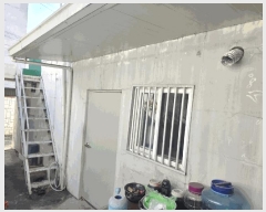 2025Ÿ��31713 �뱸 ���� ��굿 274-22       ����(����)���