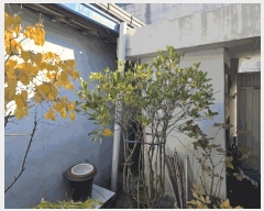 2025Ÿ��31713 �뱸 ���� ��굿 274-22       ����(����)���