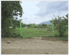  2025Ÿ��31719 �뱸 �޼��� ��â�� �ܻ긮 784      ����(��1)���