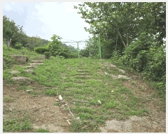  2025Ÿ��31719 �뱸 �޼��� ��â�� �ܻ긮 784      ����(��1)���
