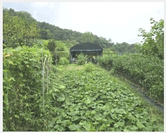  2025Ÿ��31719 �뱸 �޼��� ��â�� �ܻ긮 784      ����(��1)���