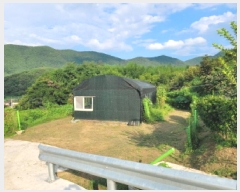  2025Ÿ��31719 �뱸 �޼��� ��â�� �ܻ긮 784      ����(��1)���