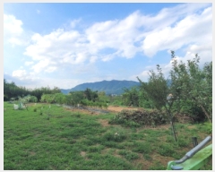  2025Ÿ��31719 �뱸 �޼��� ��â�� �ܻ긮 784      ����(��1)���