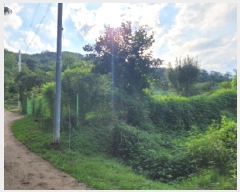  2025Ÿ��31719 �뱸 �޼��� ��â�� �ܻ긮 784      ����(��1)���